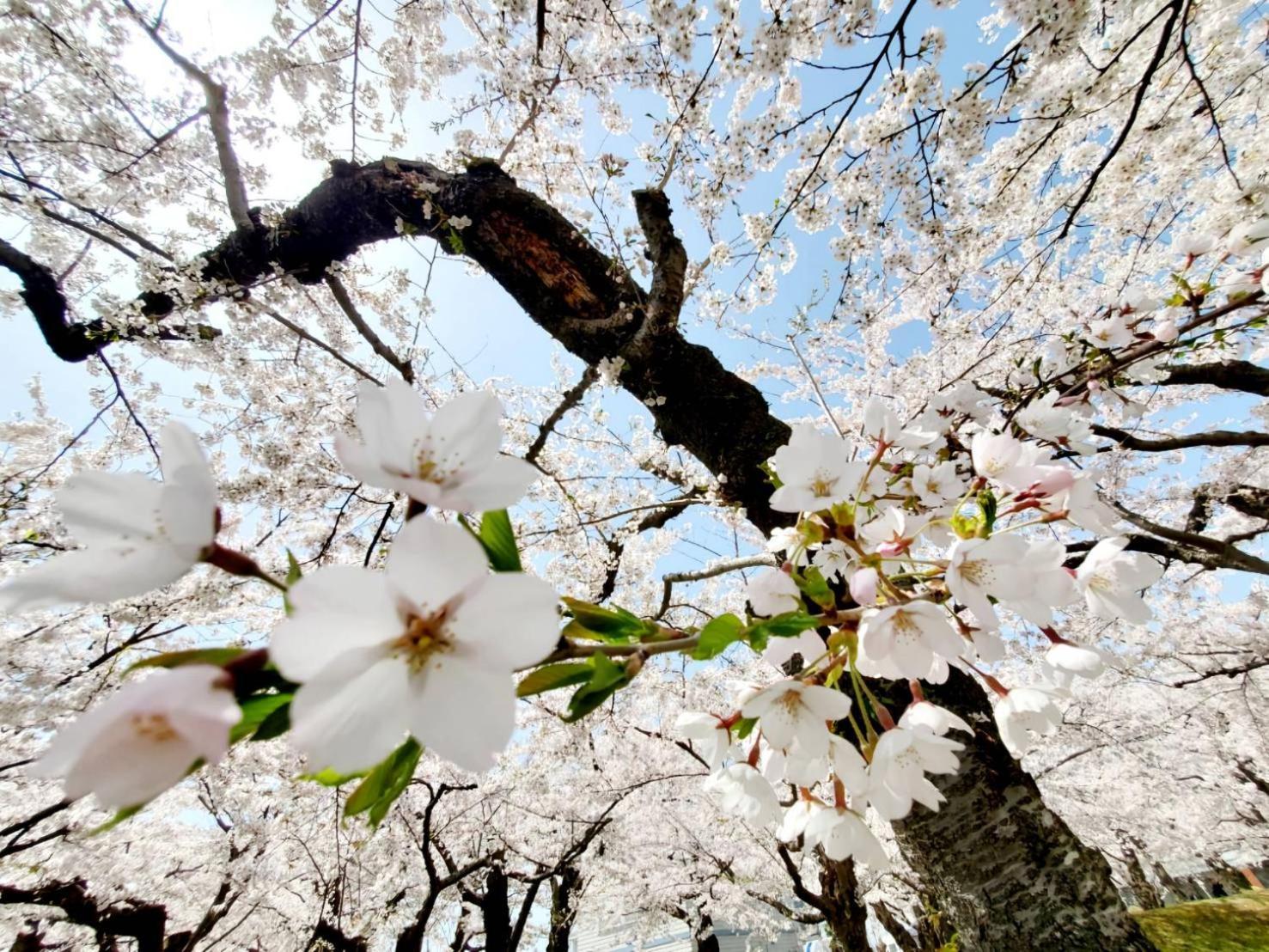 Yunohama Hotel Хакодате Экстерьер фото