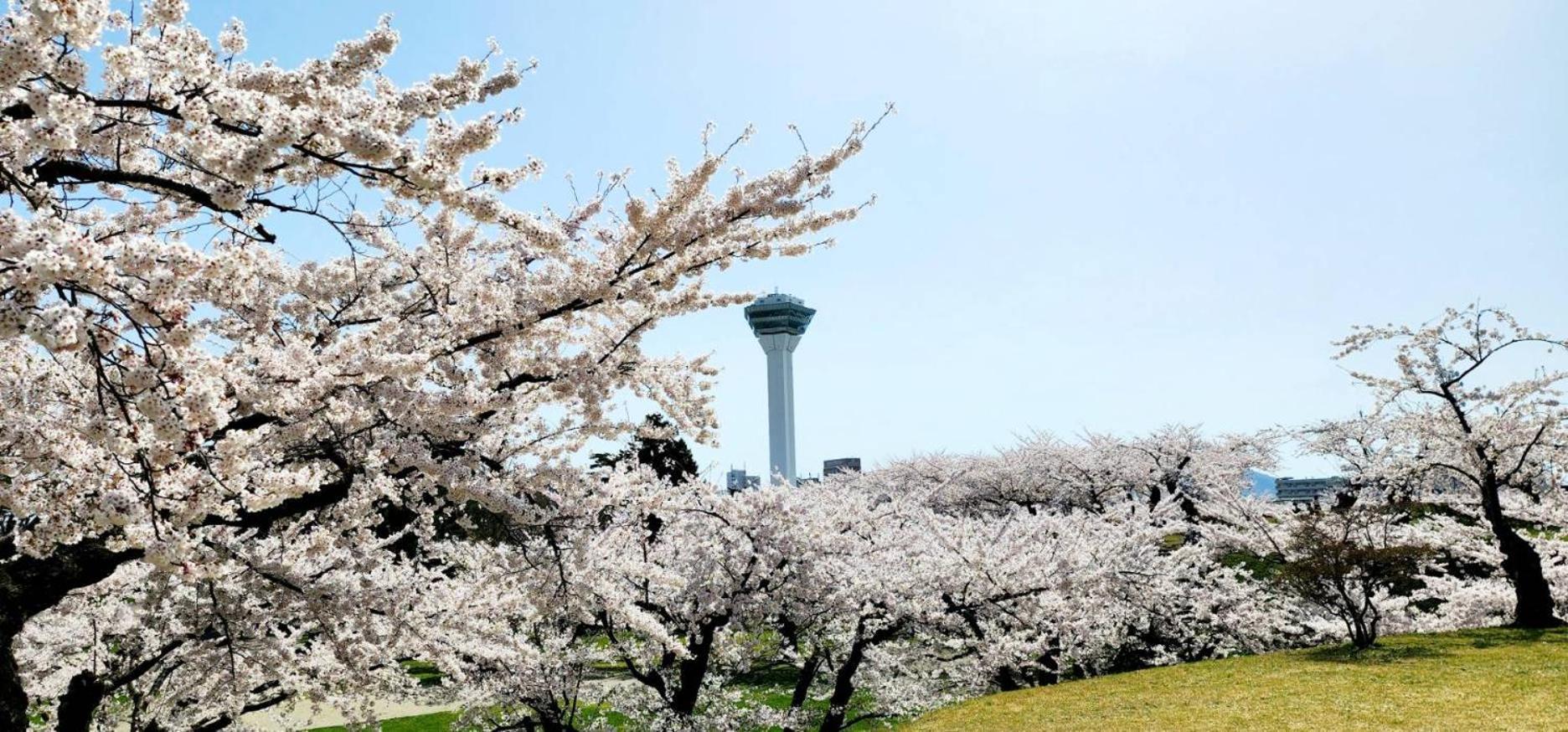 Yunohama Hotel Хакодате Экстерьер фото